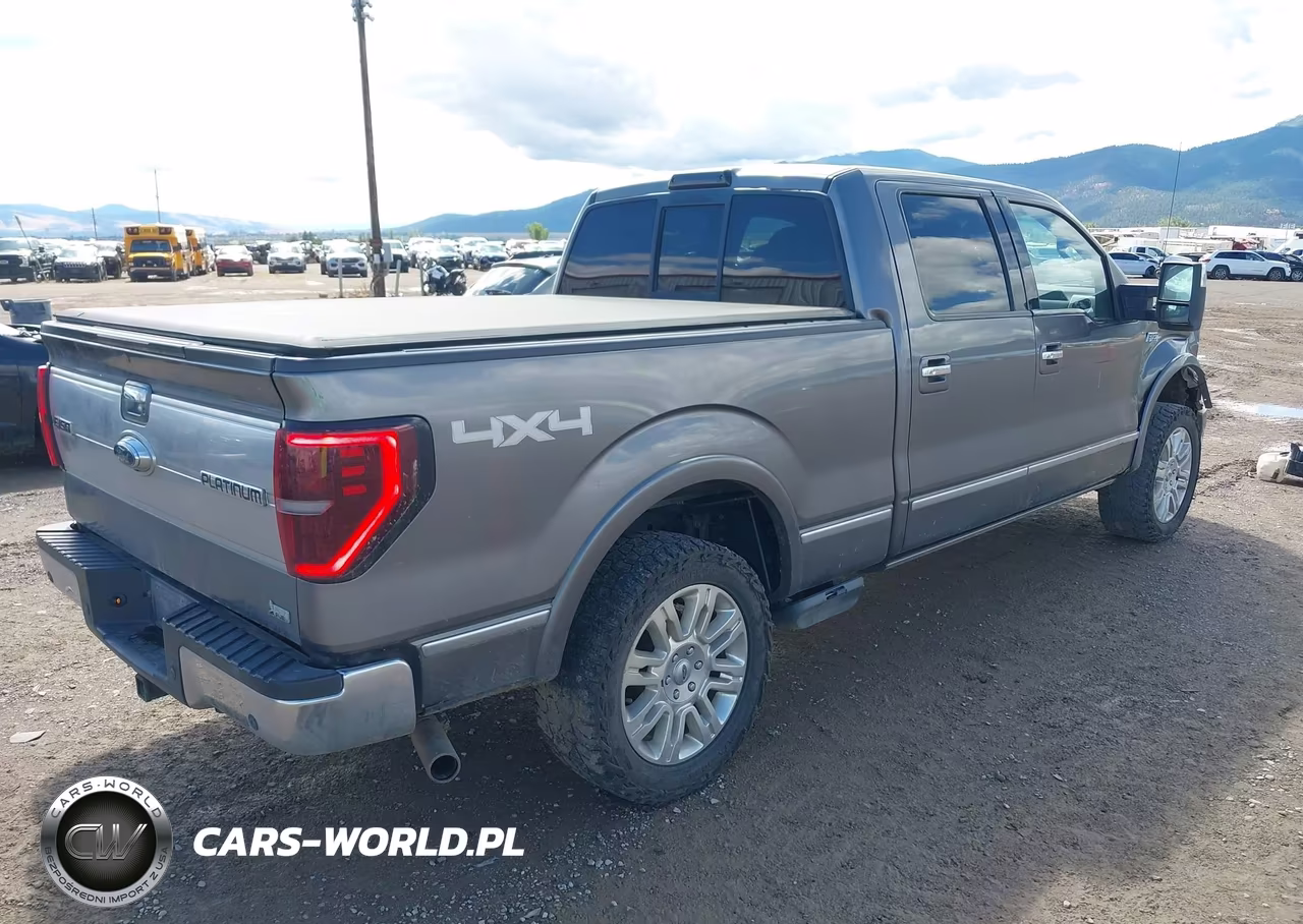 2010 Ford F-150 Fx4-Harley-Davidson-King Ranch-Lariat-Platinum-Xl-Xlt VIN:1FTFW1EV0AFB45315 - 4
