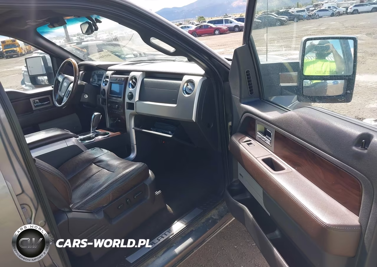 2010 Ford F-150 Fx4-Harley-Davidson-King Ranch-Lariat-Platinum-Xl-Xlt VIN:1FTFW1EV0AFB45315 - 5