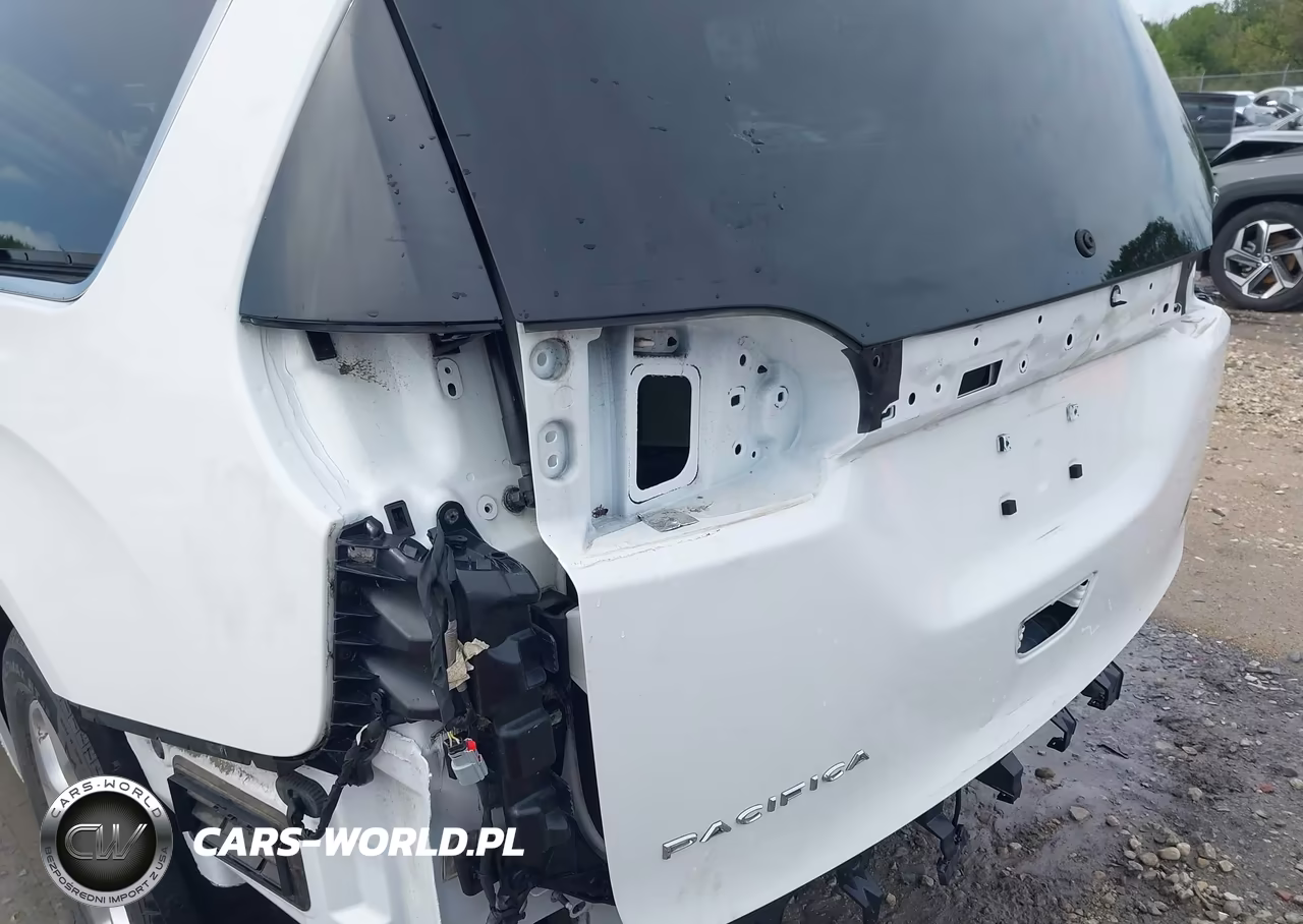 2017 Chrysler Pacifica Lx VIN:2C4RC1CG4HR506039 - 20