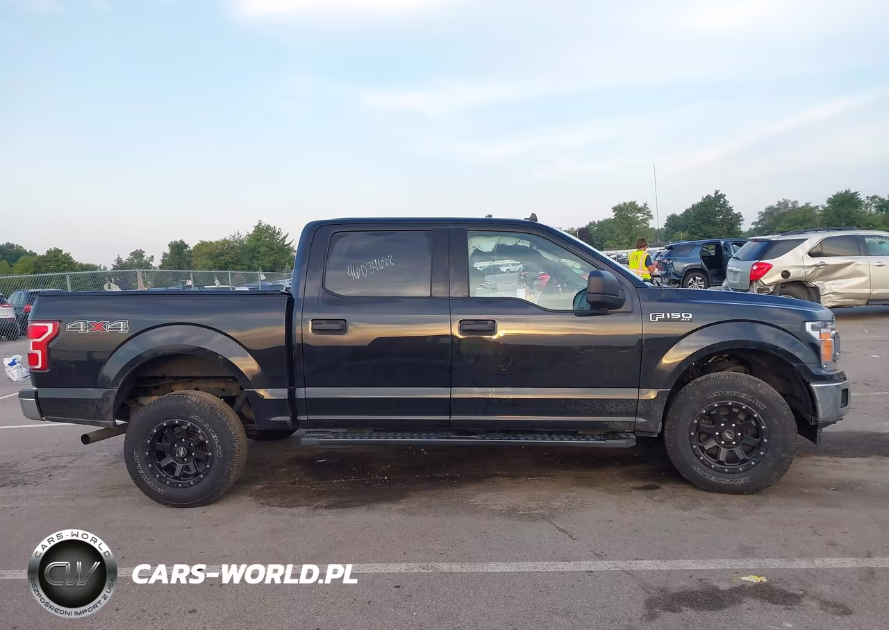 2019 Ford F-150 Xlt VIN:1FTEW1EP0KFC13594 - 13