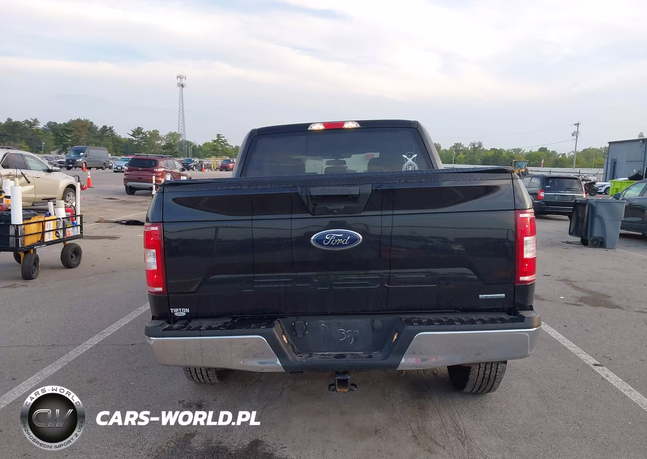 2019 Ford F-150 Xlt VIN:1FTEW1EP0KFC13594 - 16