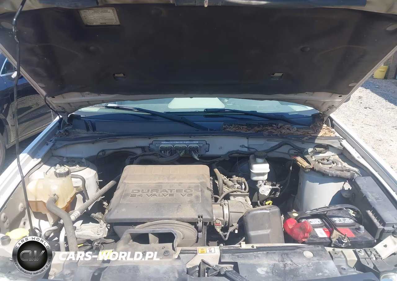 2010 Ford Escape Xlt VIN:1FMCU0DG5AKC68942 - 10