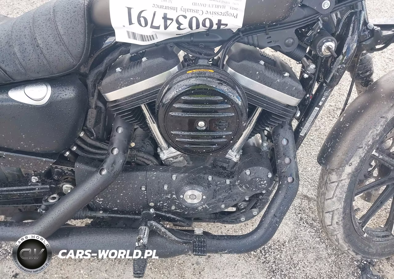 2021 Harley-Davidson Xl883 N VIN:1HD4LE215MB408384 - 8