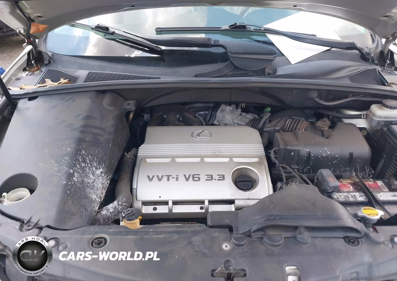 2004 Lexus Rx 330 VIN:JTJHA31UX40066383 - 10