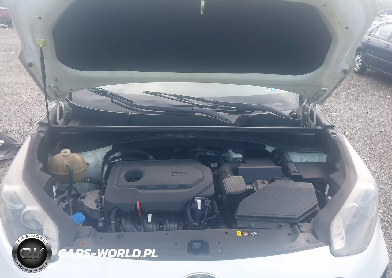 2018 Kia Sportage Lx VIN:KNDPM3AC4J7459098 - 10