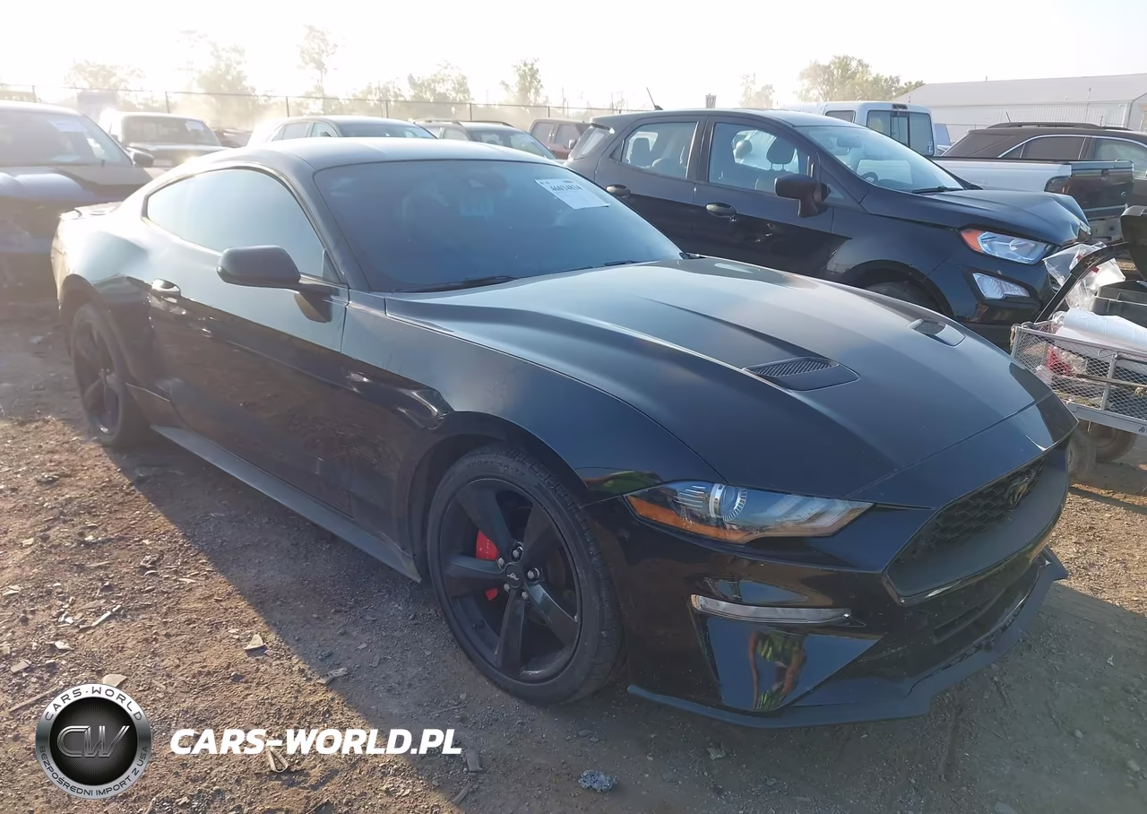 2022 Ford Mustang Ecoboost Fastback VIN:1FA6P8THXN5109359 - 1