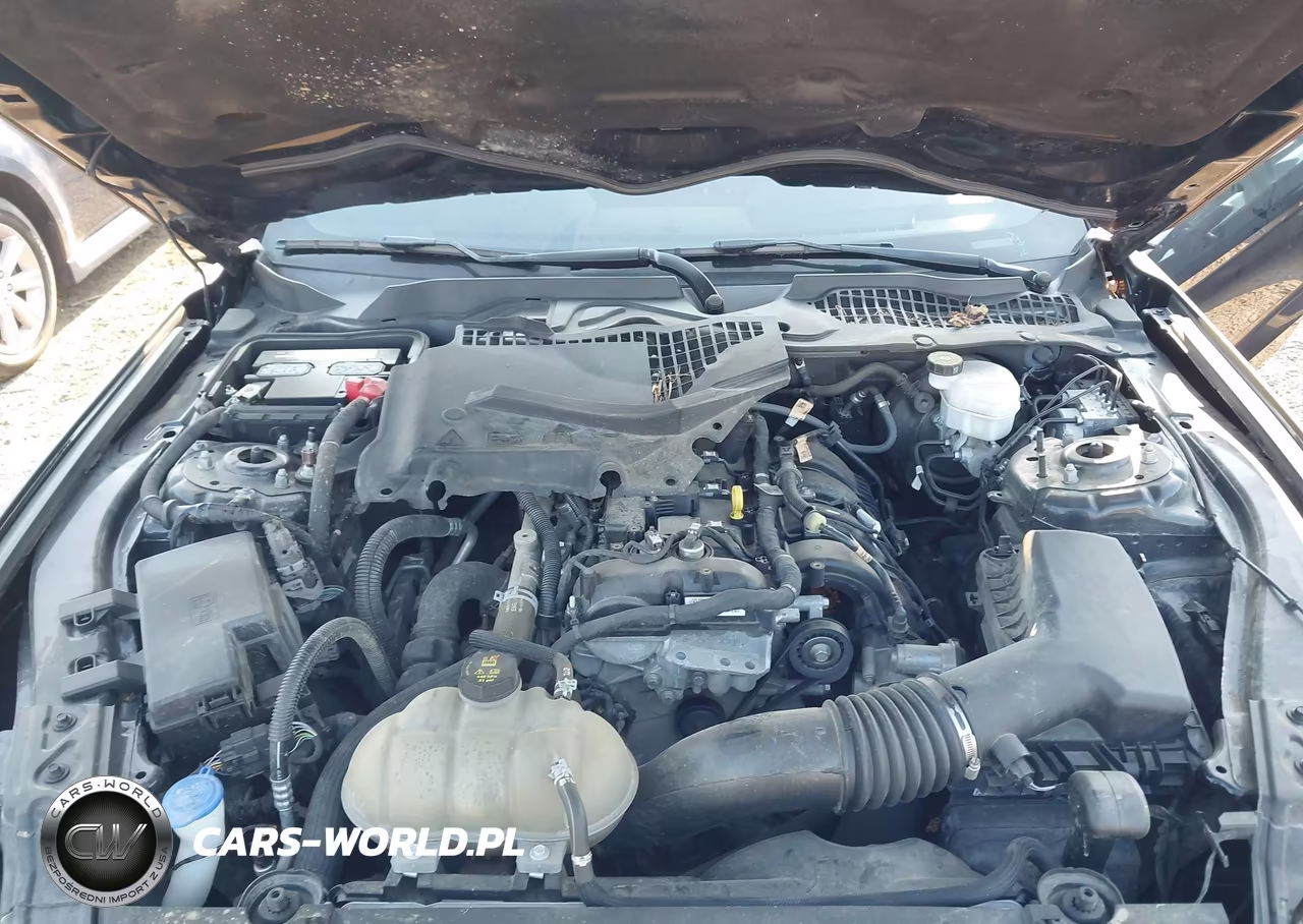2022 Ford Mustang Ecoboost Fastback VIN:1FA6P8THXN5109359 - 10