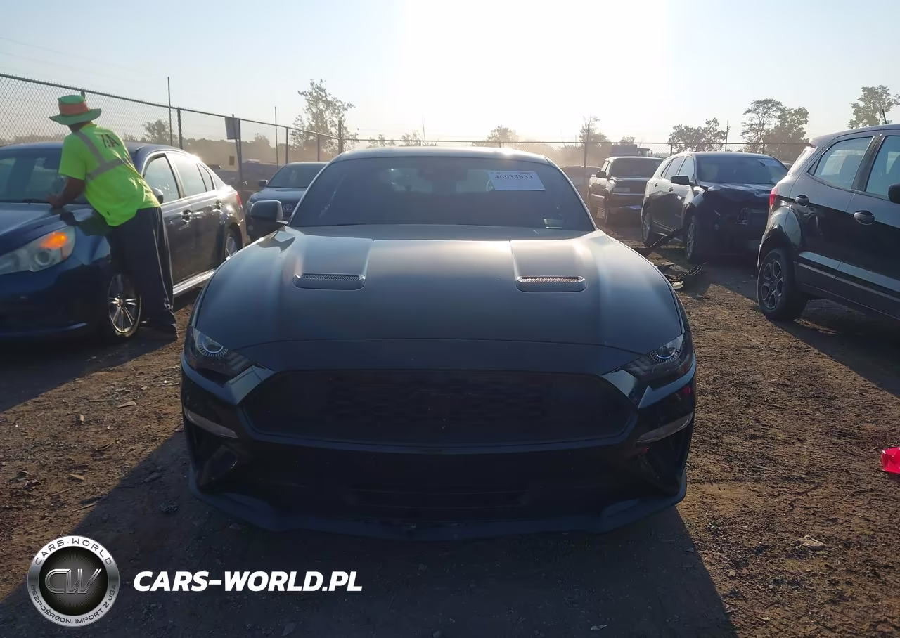 2022 Ford Mustang Ecoboost Fastback VIN:1FA6P8THXN5109359 - 13