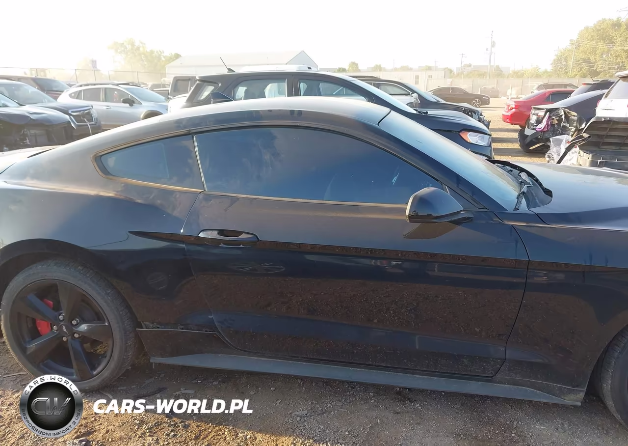 2022 Ford Mustang Ecoboost Fastback VIN:1FA6P8THXN5109359 - 14