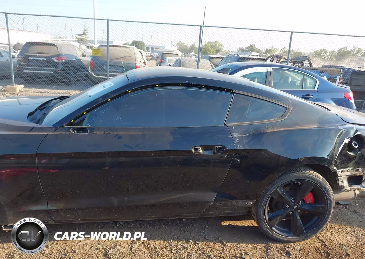 2022 Ford Mustang Ecoboost Fastback VIN:1FA6P8THXN5109359 - 15