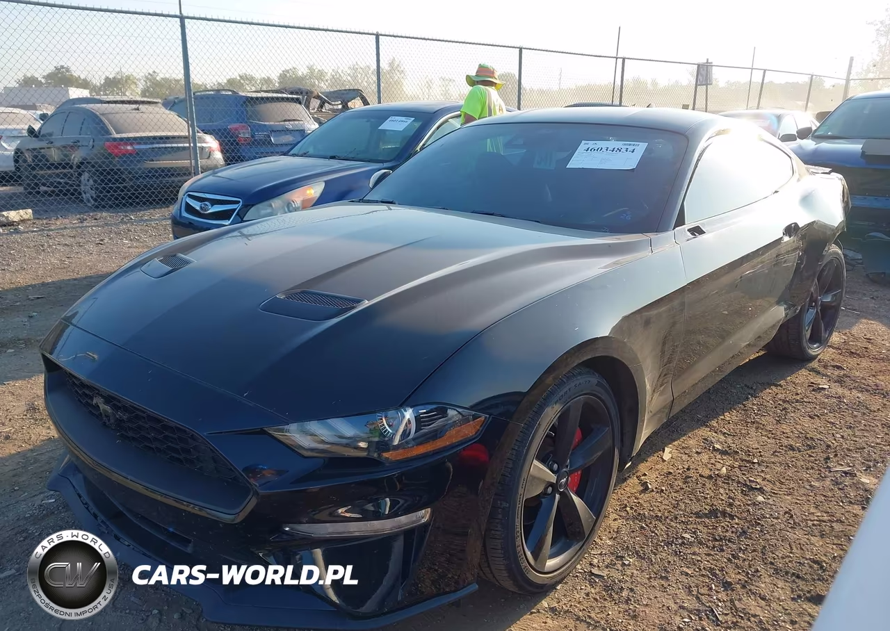 2022 Ford Mustang Ecoboost Fastback VIN:1FA6P8THXN5109359 - 2