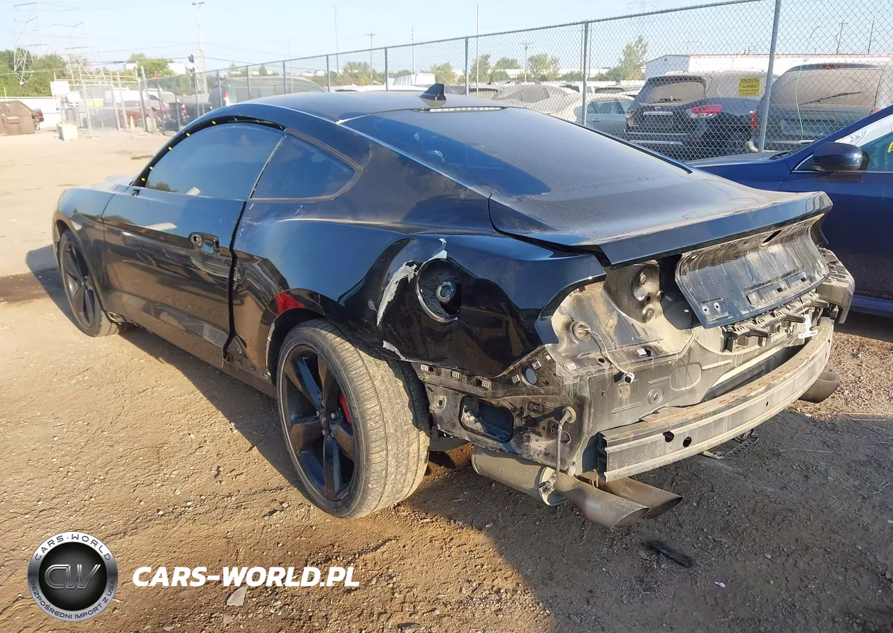 2022 Ford Mustang Ecoboost Fastback VIN:1FA6P8THXN5109359 - 3