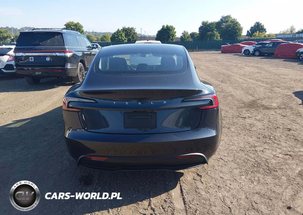 2025 Tesla Model 3 Long Range Rear-Wheel Drive-Standard Rear-Wheel Drive VIN:5YJ3E1EA6SF977007 - 16