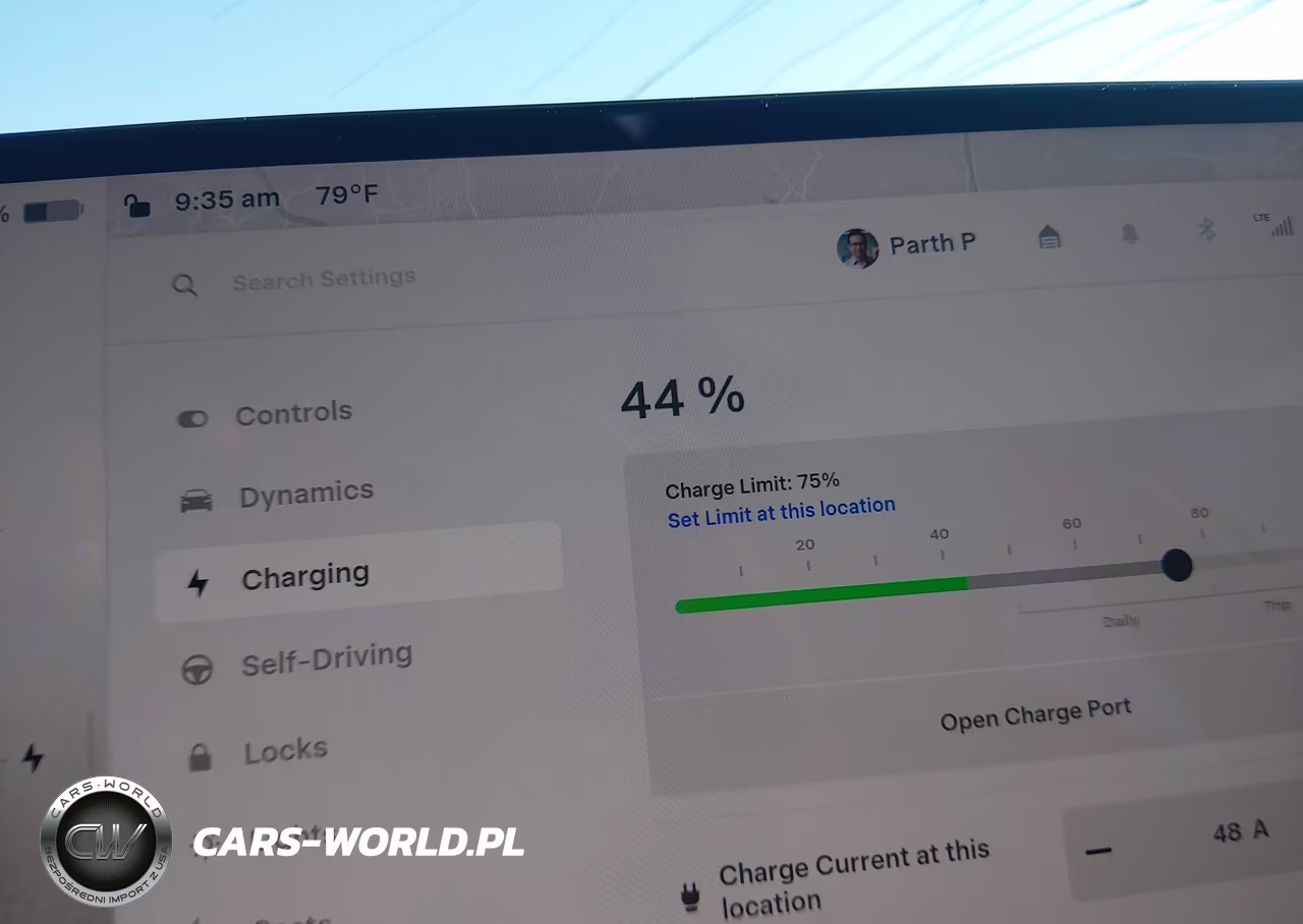 2025 Tesla Model 3 Long Range Rear-Wheel Drive-Standard Rear-Wheel Drive VIN:5YJ3E1EA6SF977007 - 17