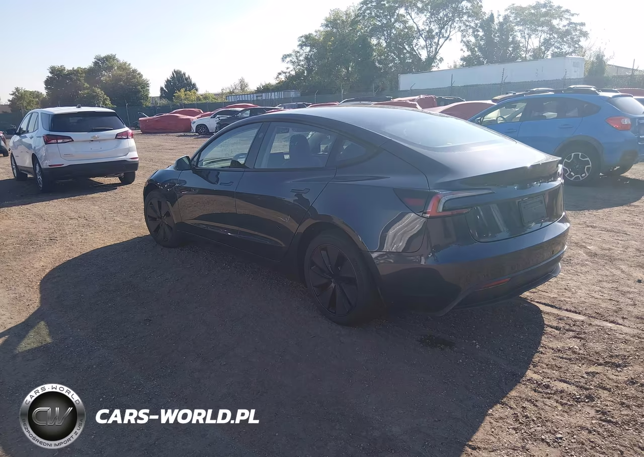 2025 Tesla Model 3 Long Range Rear-Wheel Drive-Standard Rear-Wheel Drive VIN:5YJ3E1EA6SF977007 - 3