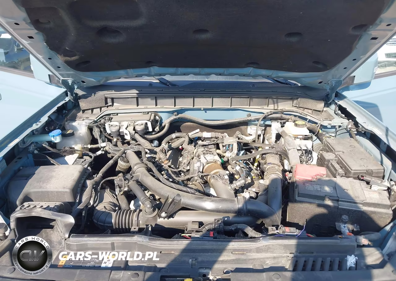 2023 Ford Bronco Outer Banks VIN:1FMEE5DP6PLC02910 - 10