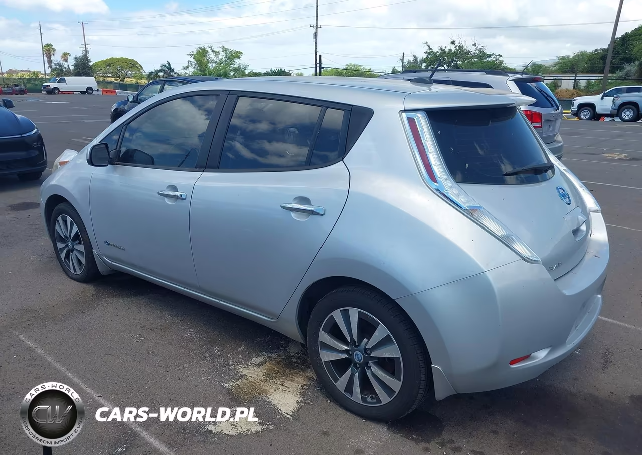 2014 Nissan Leaf Sl VIN:1N4AZ0CP9EC334879 - 3