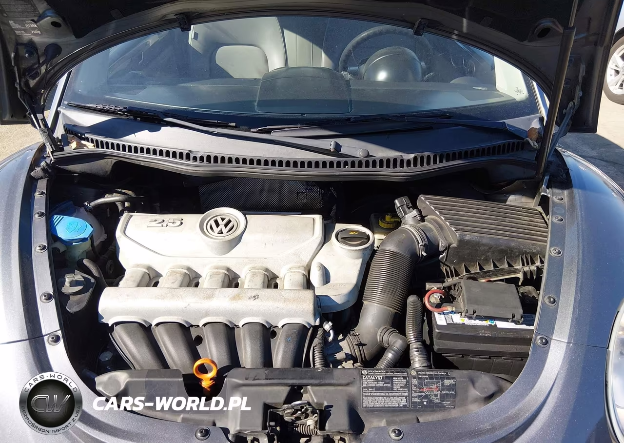 2006 Volkswagen New Beetle 2.5 VIN:3VWRG31C66M410494 - 10