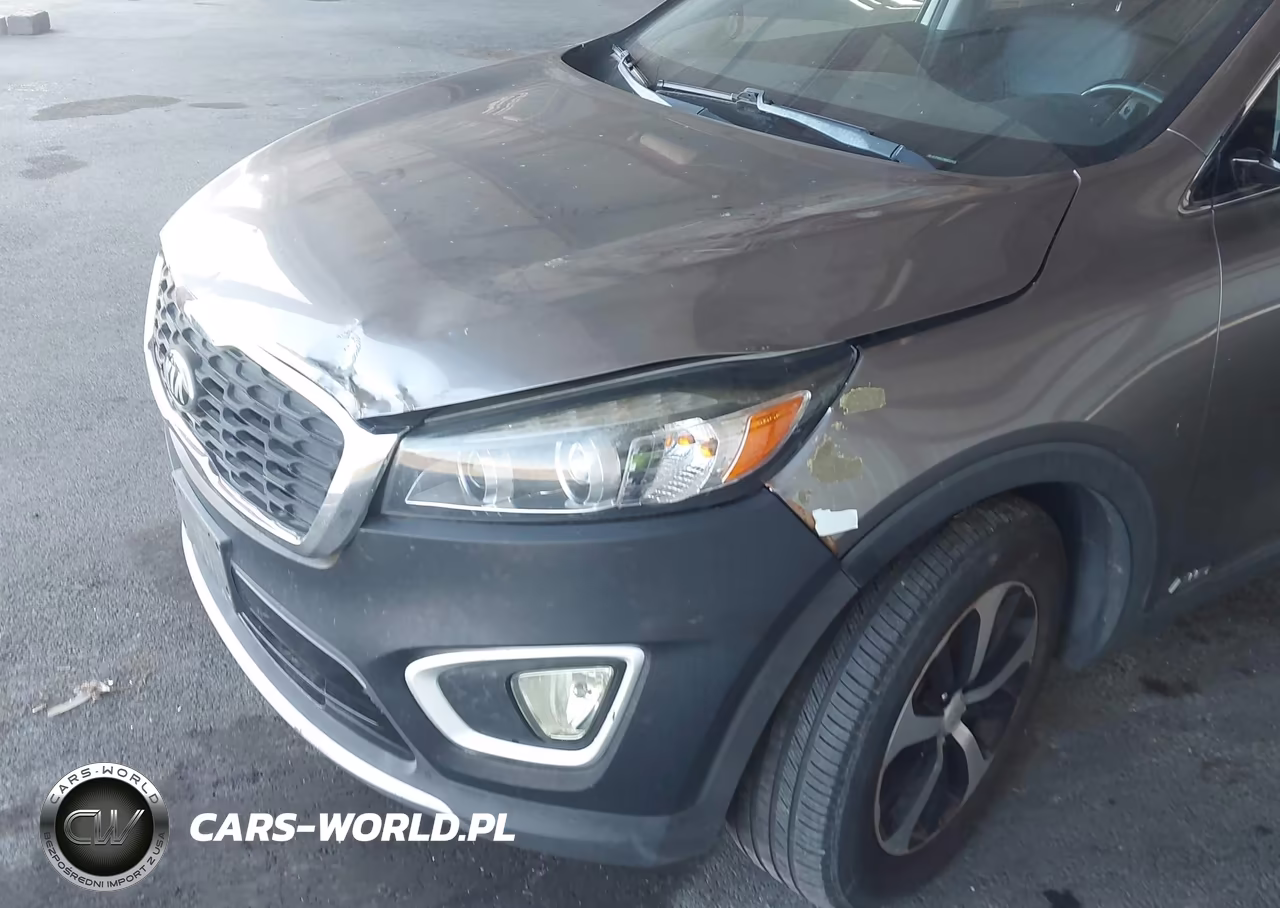 2016 Kia Sorento 2.0T Ex VIN:5XYPHDA19GG032472 - 17