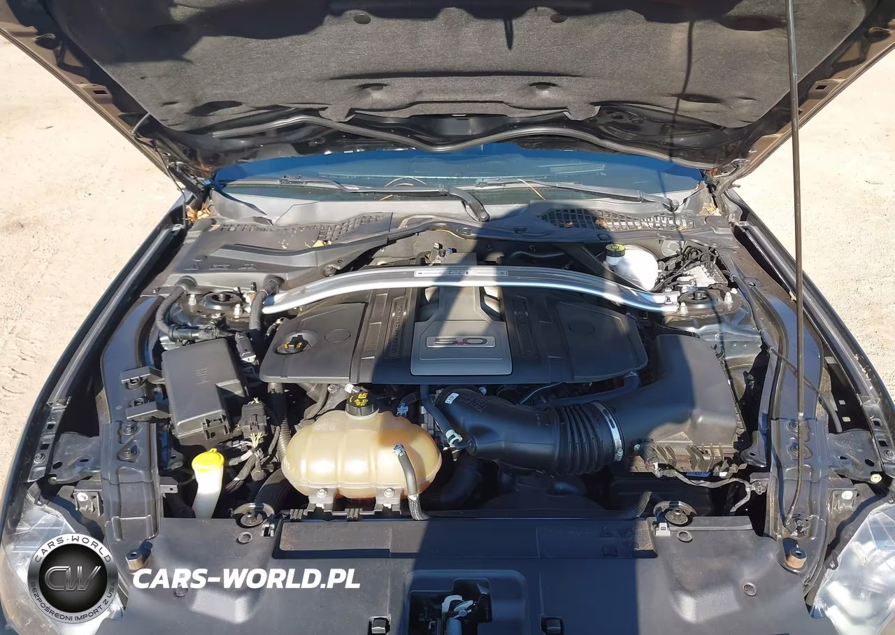 2019 Ford Mustang Gt Premium VIN:1FATP8FF6K5187789 - 10