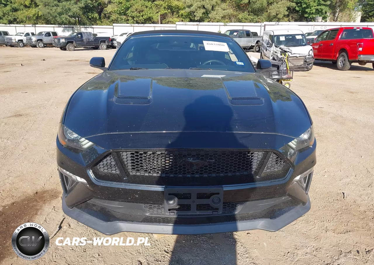 2019 Ford Mustang Gt Premium VIN:1FATP8FF6K5187789 - 12
