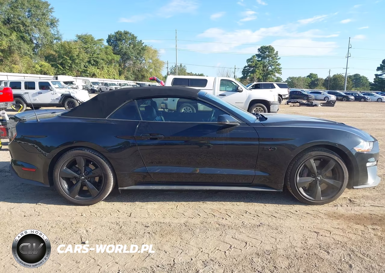 2019 Ford Mustang Gt Premium VIN:1FATP8FF6K5187789 - 13