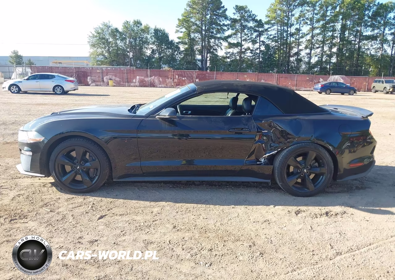 2019 Ford Mustang Gt Premium VIN:1FATP8FF6K5187789 - 14