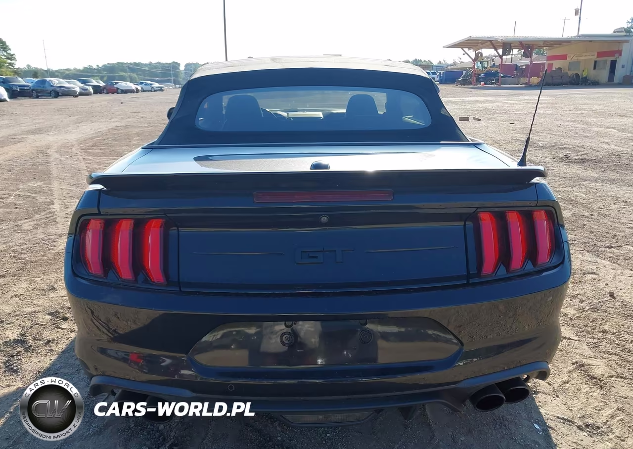 2019 Ford Mustang Gt Premium VIN:1FATP8FF6K5187789 - 16
