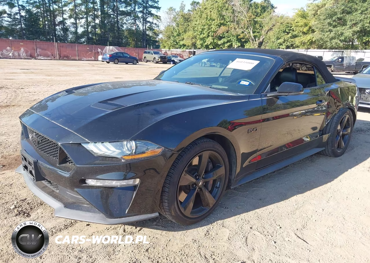 2019 Ford Mustang Gt Premium VIN:1FATP8FF6K5187789 - 2