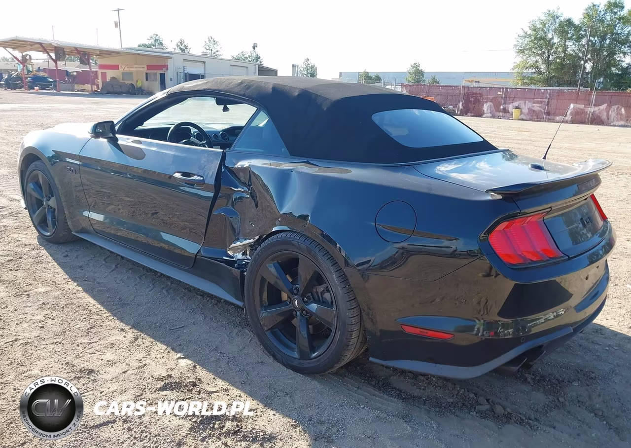 2019 Ford Mustang Gt Premium VIN:1FATP8FF6K5187789 - 3