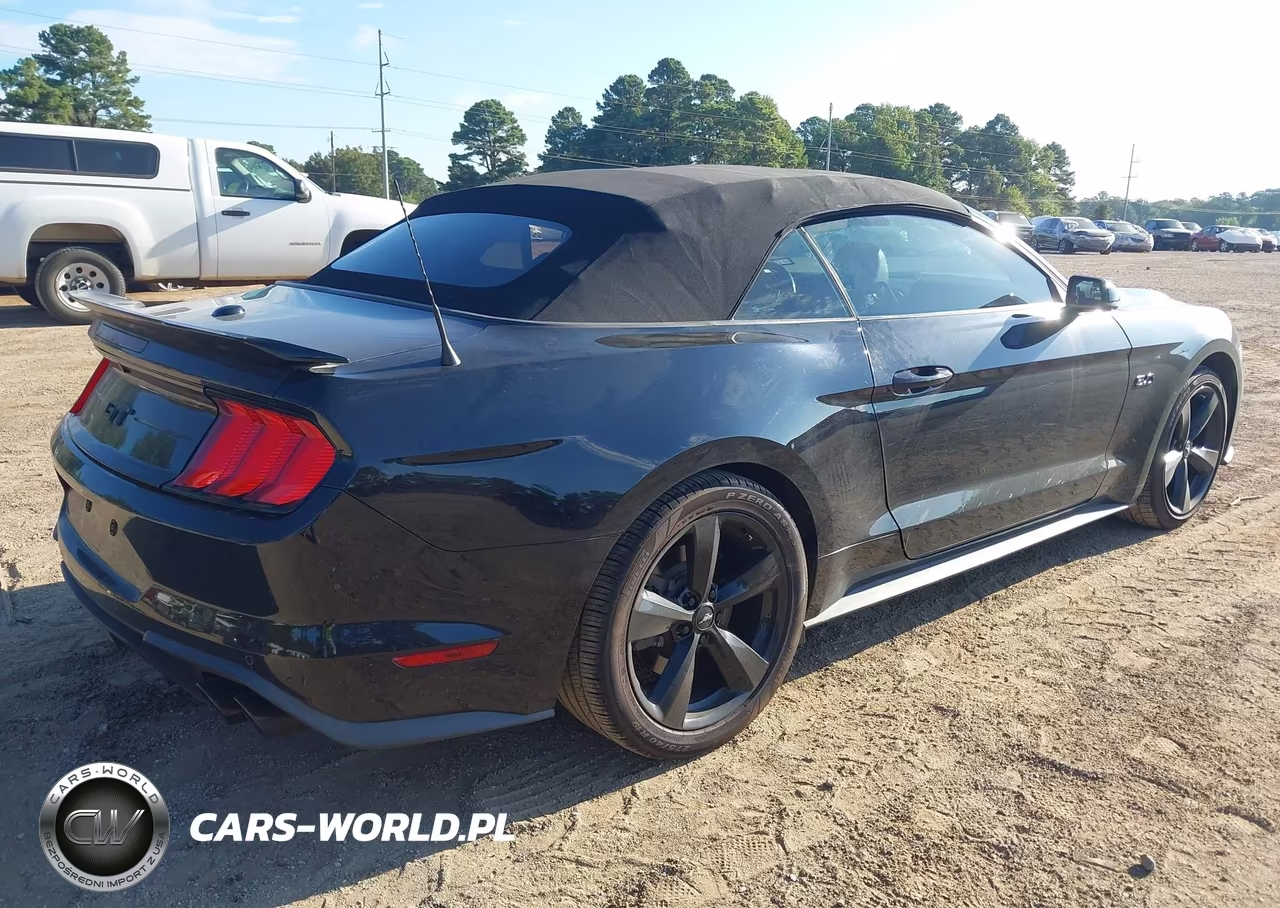 2019 Ford Mustang Gt Premium VIN:1FATP8FF6K5187789 - 4