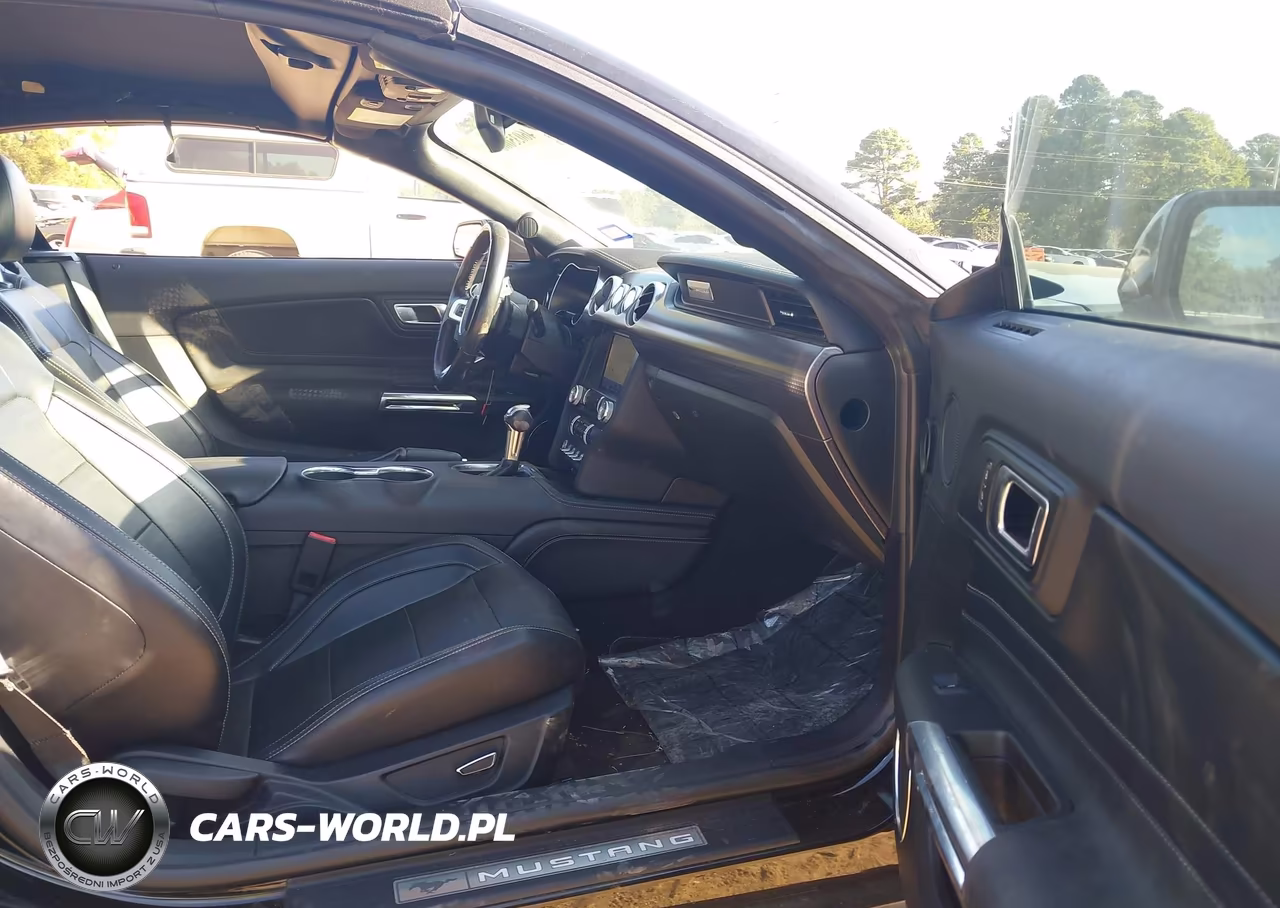 2019 Ford Mustang Gt Premium VIN:1FATP8FF6K5187789 - 5