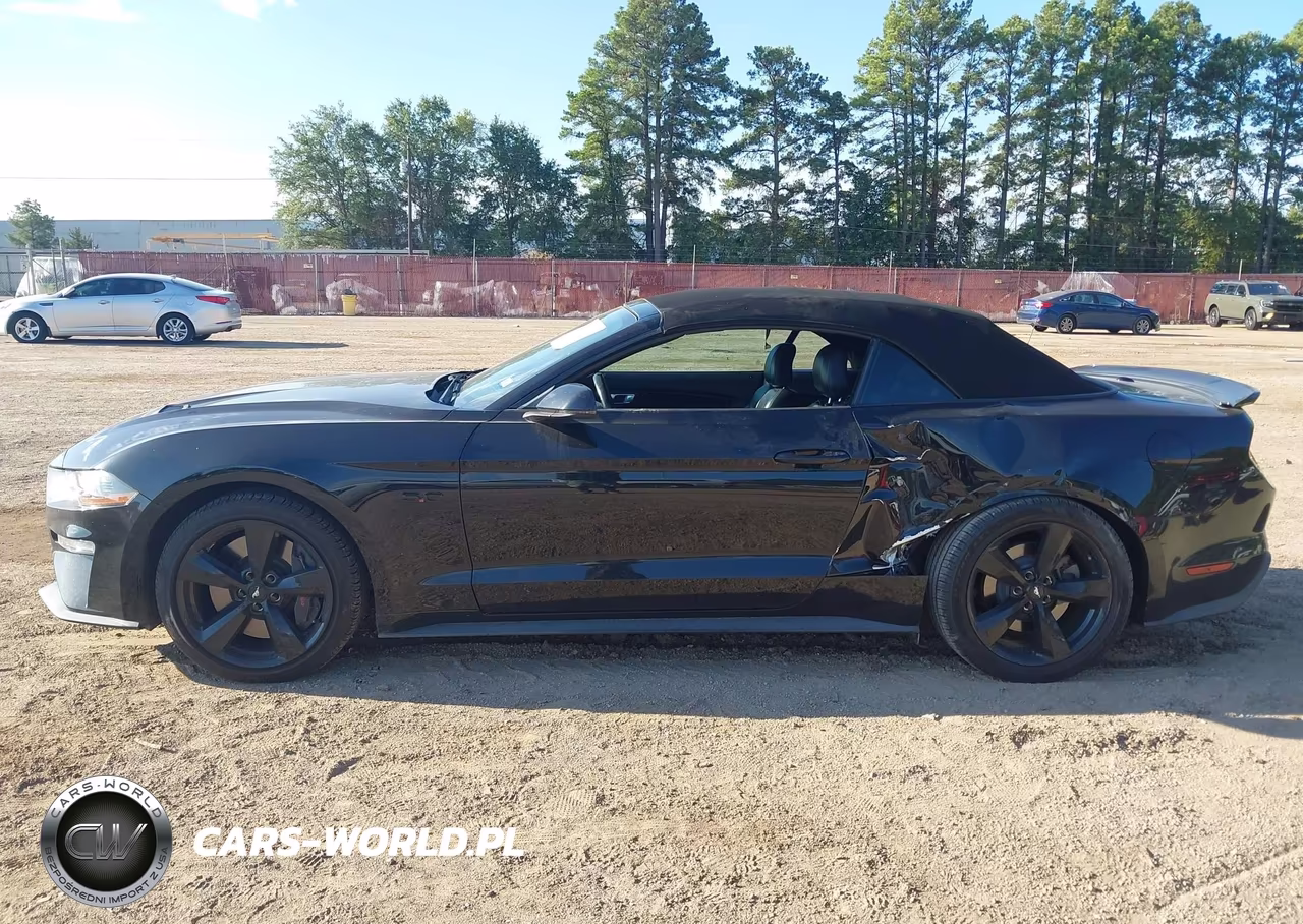 2019 Ford Mustang Gt Premium VIN:1FATP8FF6K5187789 - 6