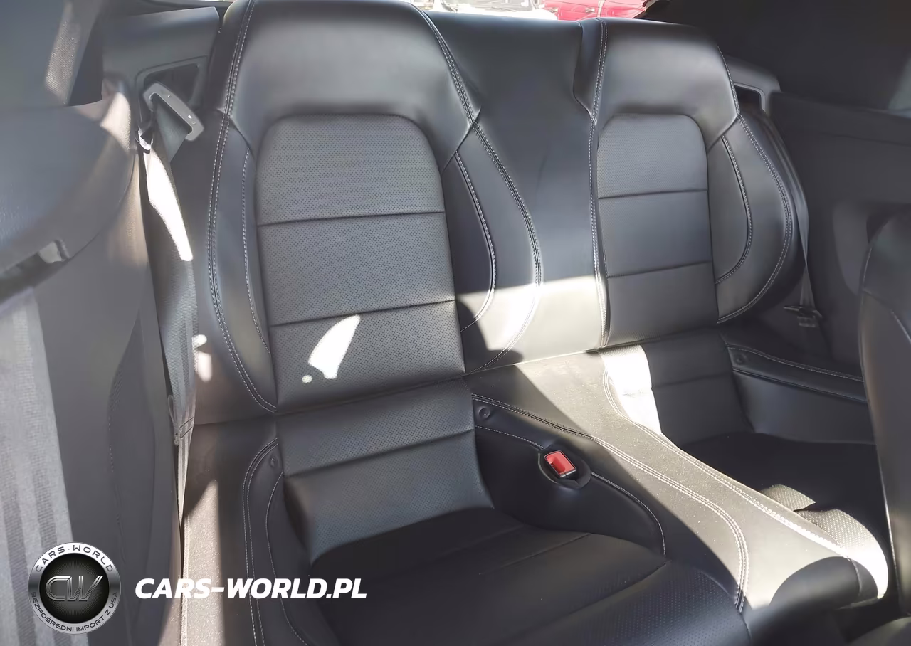 2019 Ford Mustang Gt Premium VIN:1FATP8FF6K5187789 - 8