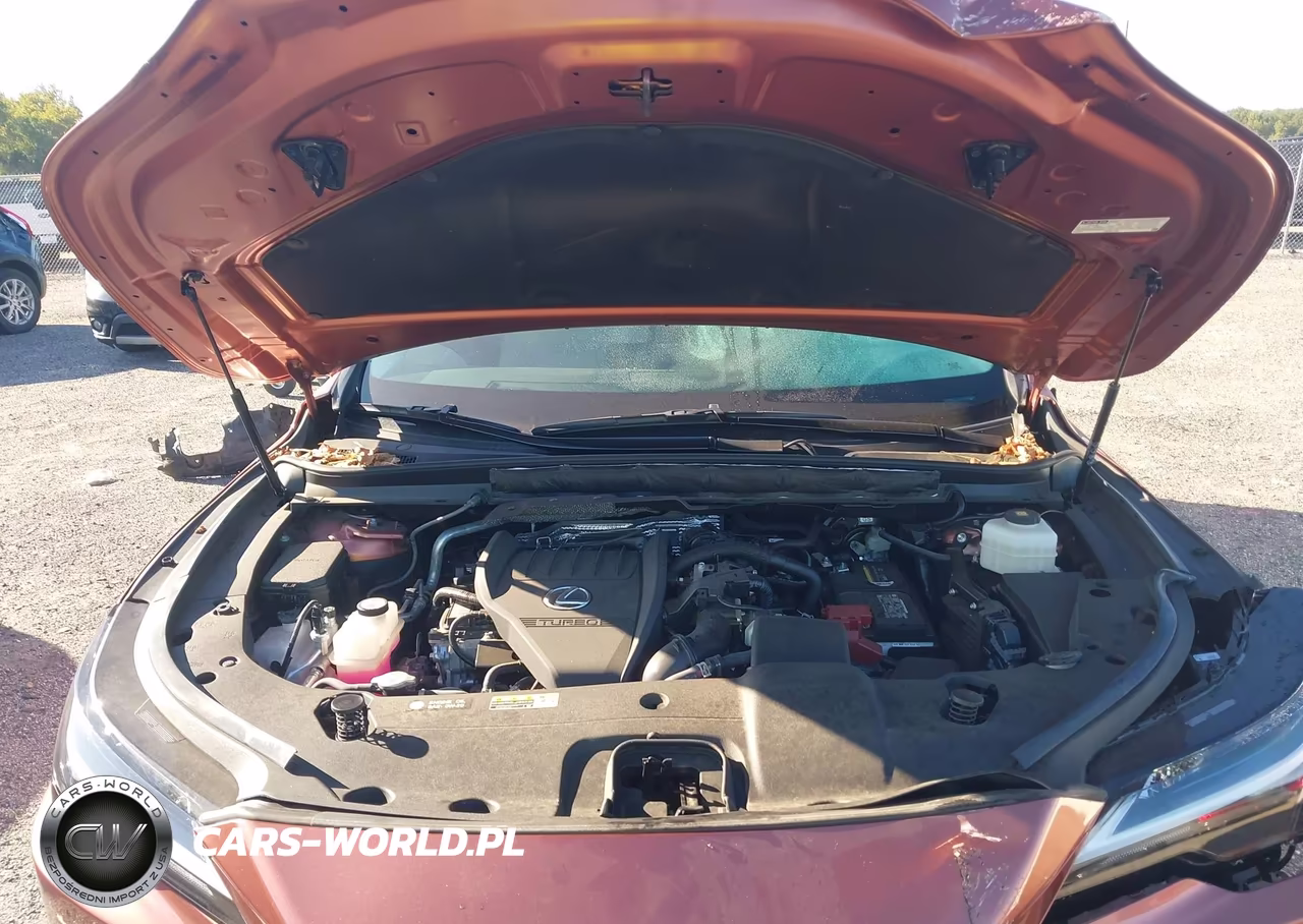 2024 Lexus Rx 350 Premium VIN:2T2BAMCA6RC047453 - 10