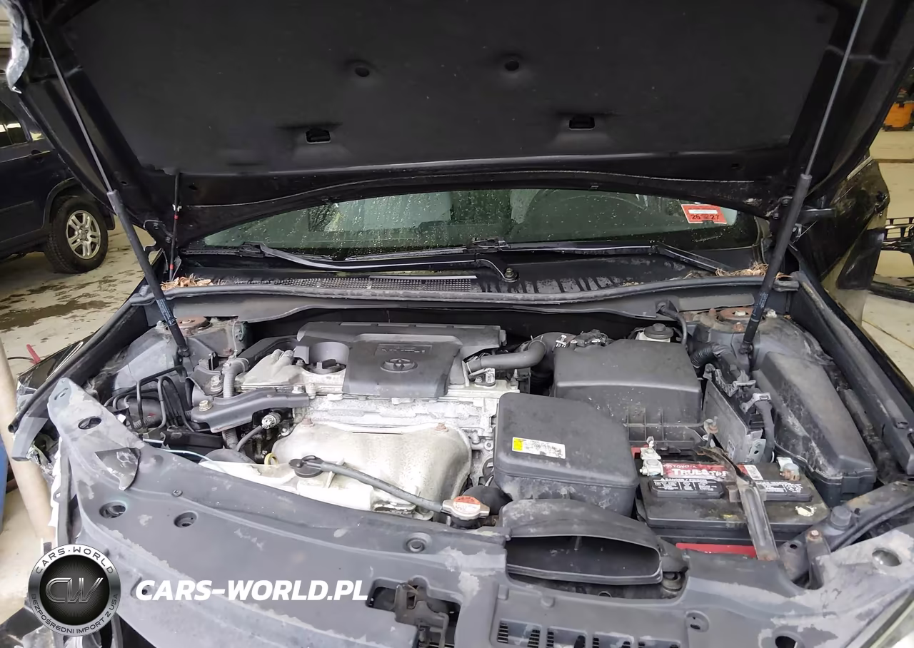 2016 Toyota Camry Se VIN:4T1BF1FK9GU140357 - 10