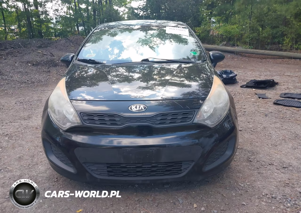 2014 Kia Rio Lx VIN:KNADM5A39E6410390 - 12