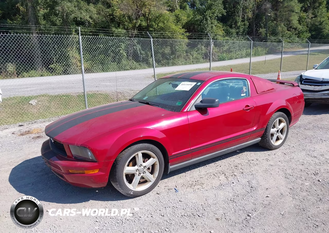 2008 Ford Mustang V6 Premium VIN:1ZVHT80N785205962 - 2