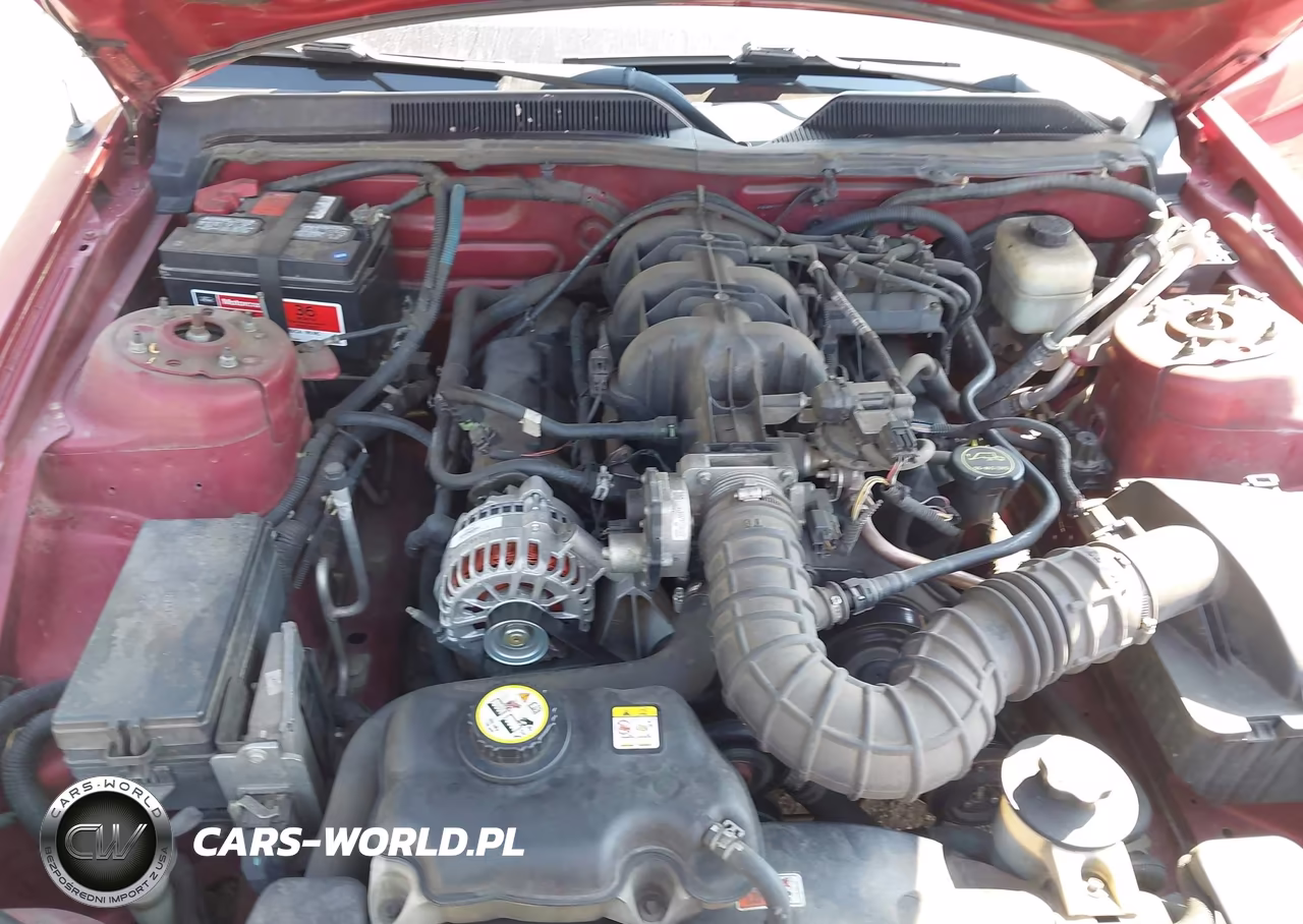 2008 Ford Mustang V6 Premium VIN:1ZVHT80N785205962 - 6