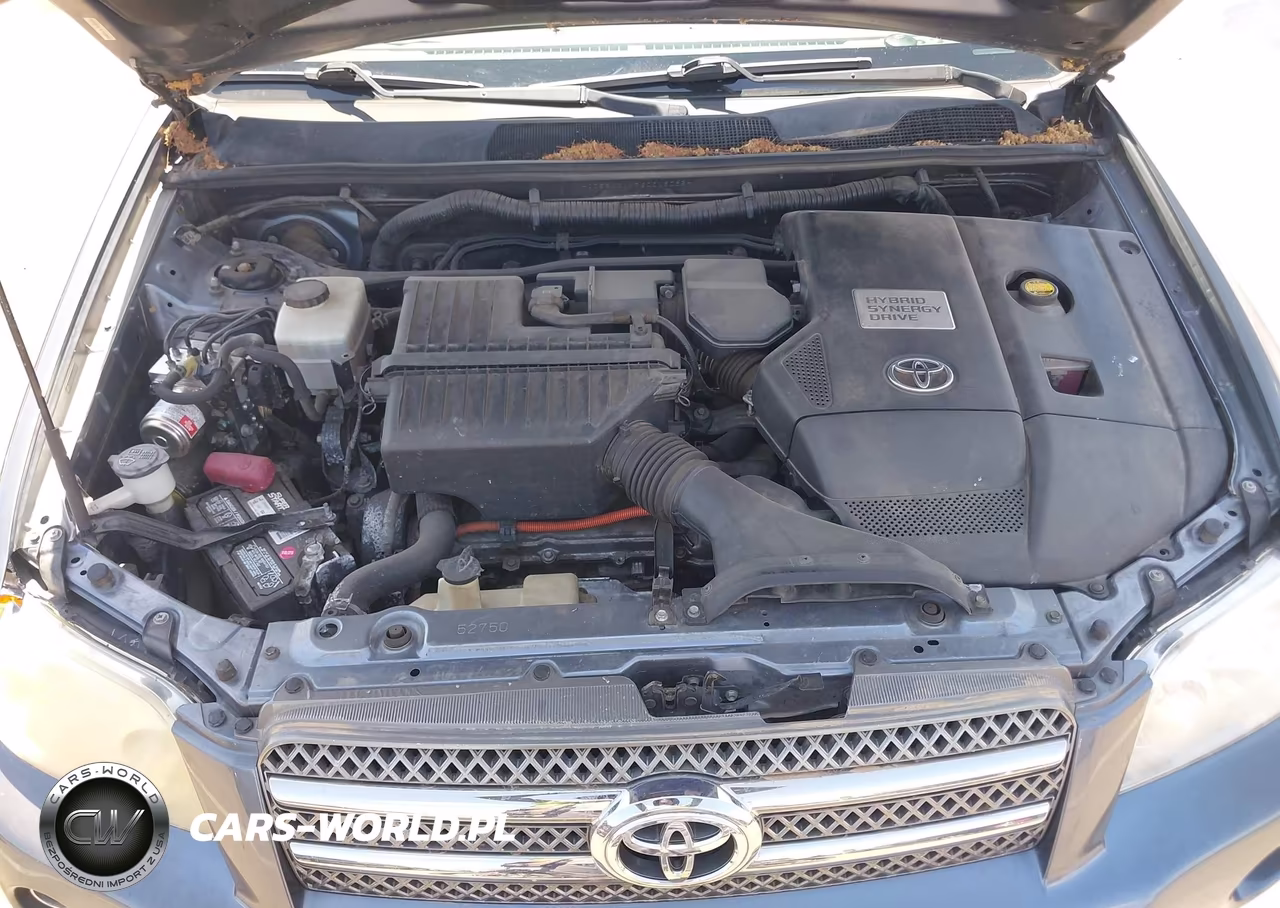 2006 Toyota Highlander Hybrid Limited V6 VIN:JTEEW21A760018085 - 10