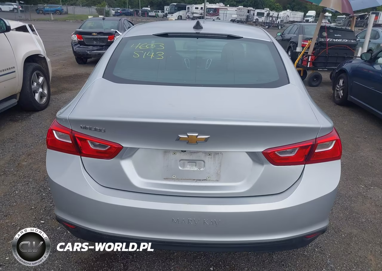 2020 Chevrolet Malibu Fwd 1Fl VIN:1G1ZC5ST3LF106164 - 16