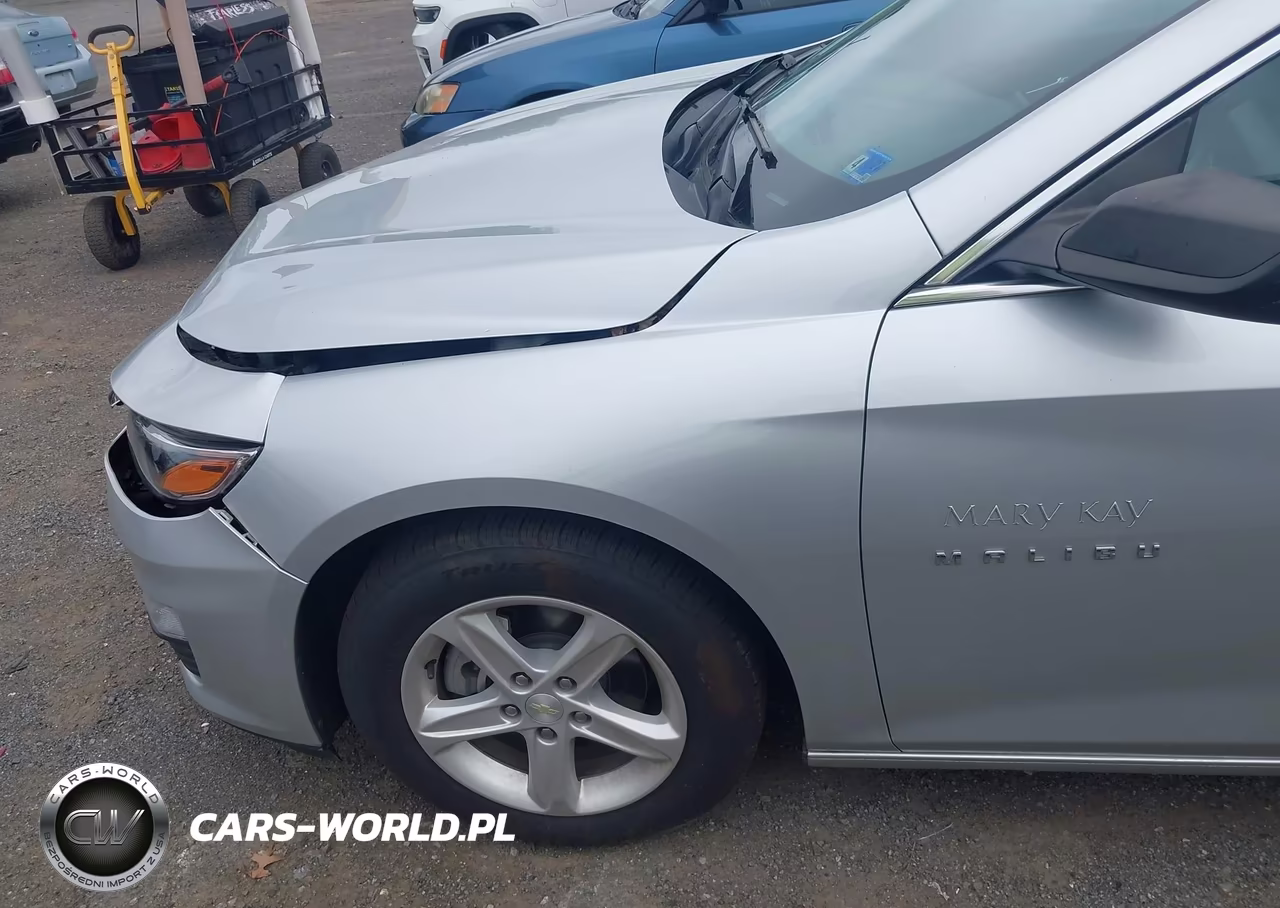 2020 Chevrolet Malibu Fwd 1Fl VIN:1G1ZC5ST3LF106164 - 6