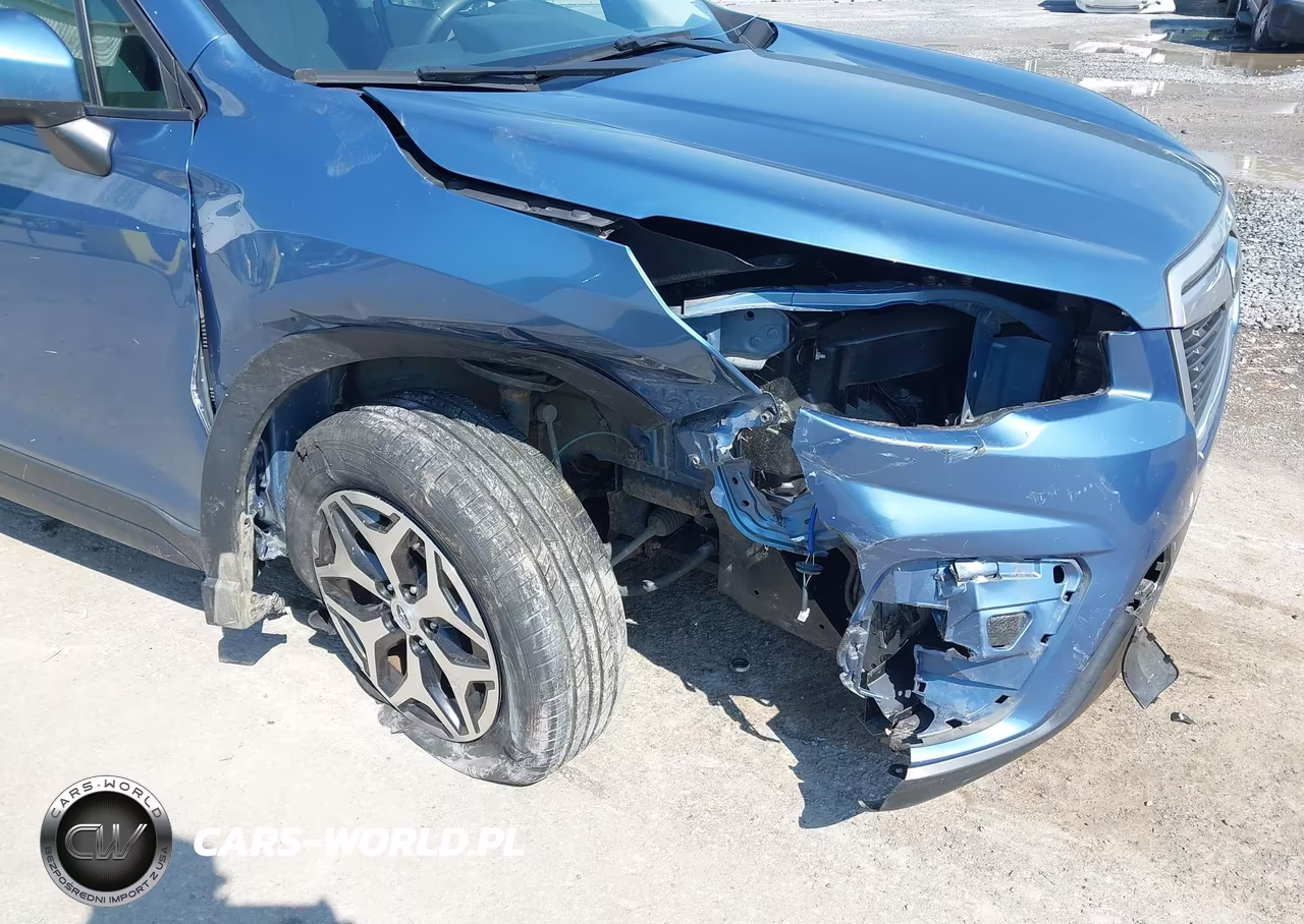 2019 Subaru Forester Premium VIN:JF2SKAEC9KH592130 - 6