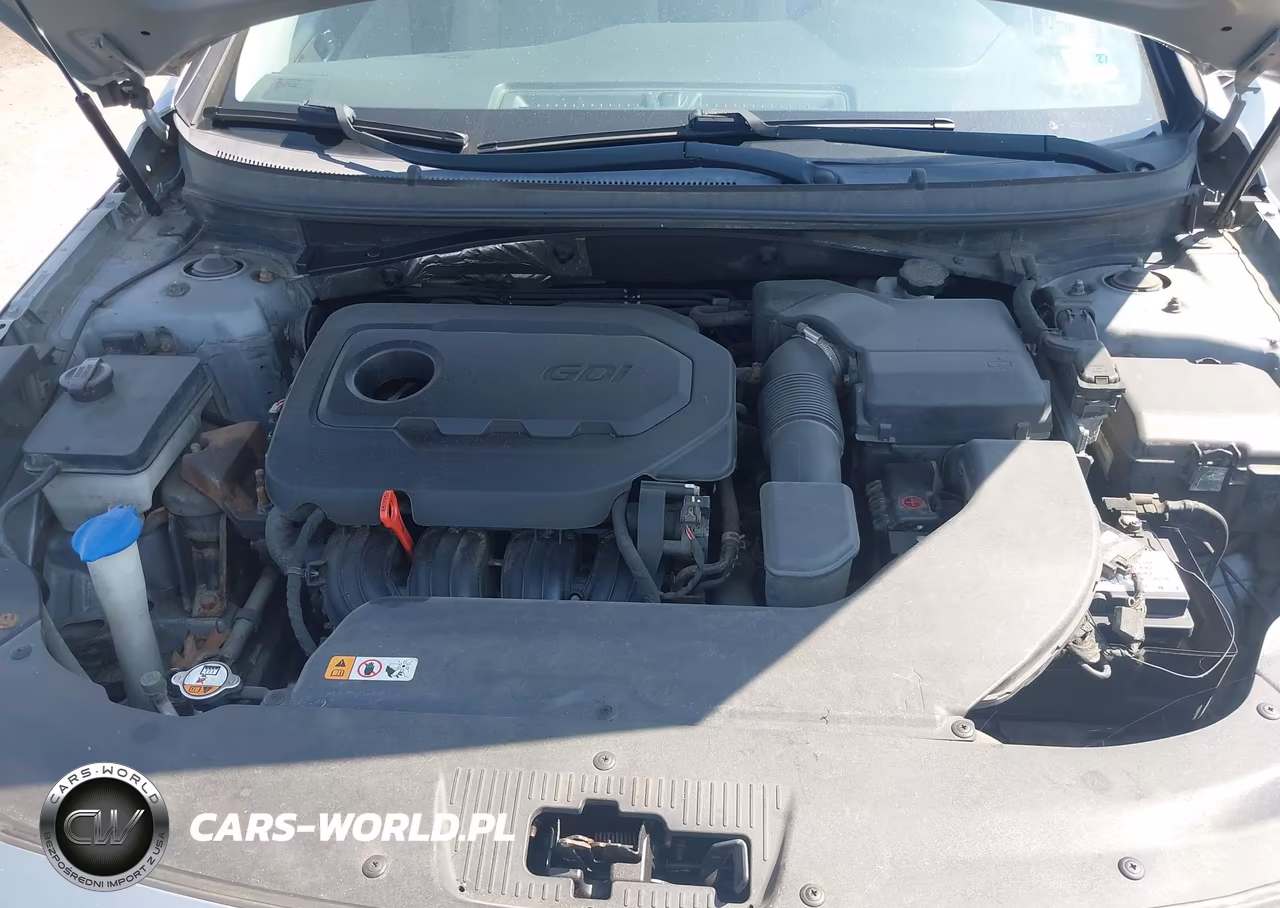 2015 Hyundai Sonata Se VIN:5NPE24AF7FH064512 - 10