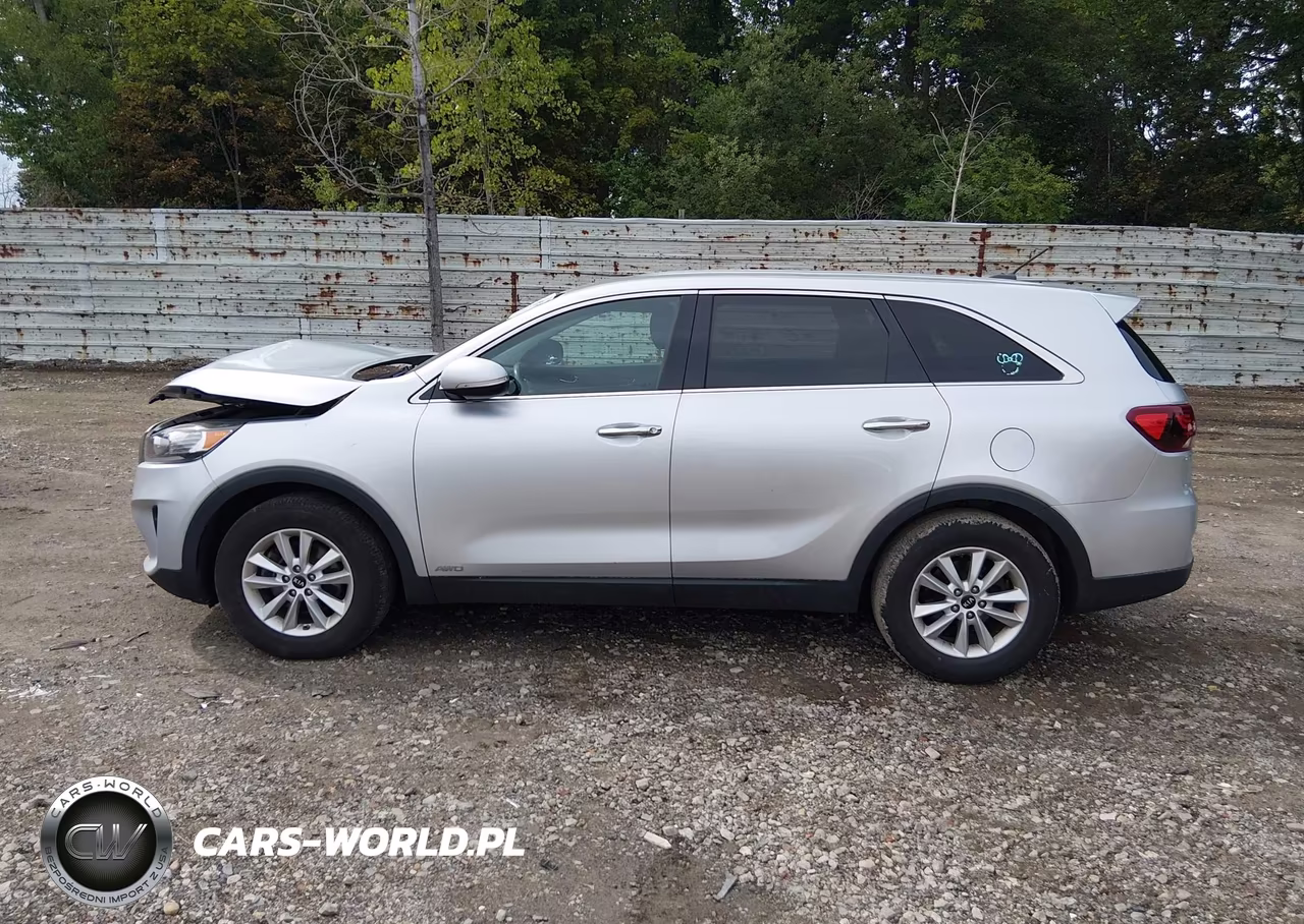 2019 Kia Sorento 3.3L Lx VIN:5XYPGDA58KG558736 - 14