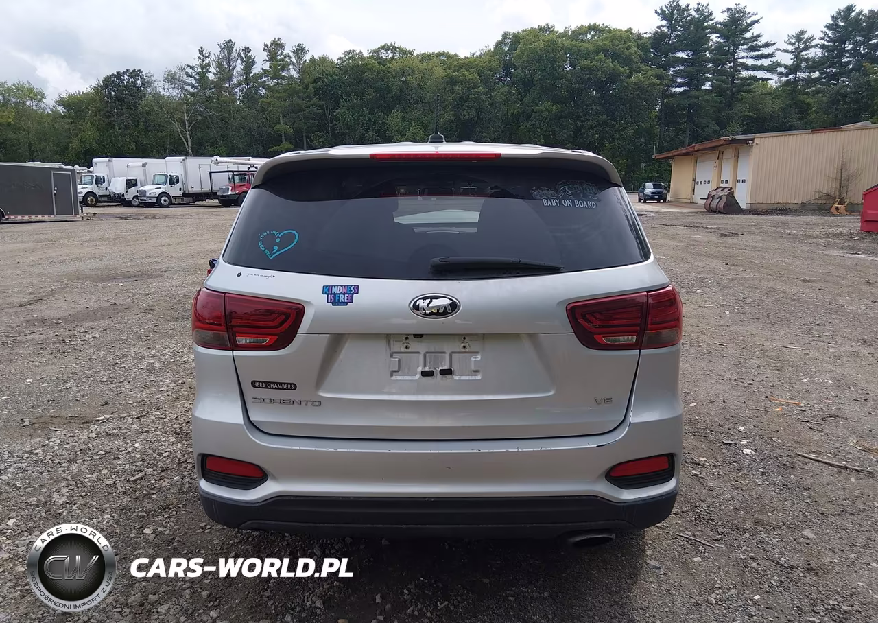 2019 Kia Sorento 3.3L Lx VIN:5XYPGDA58KG558736 - 16