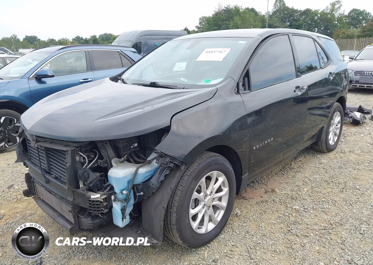 2019 Chevrolet Equinox Ls VIN:3GNAXHEV2KL353887 - 2