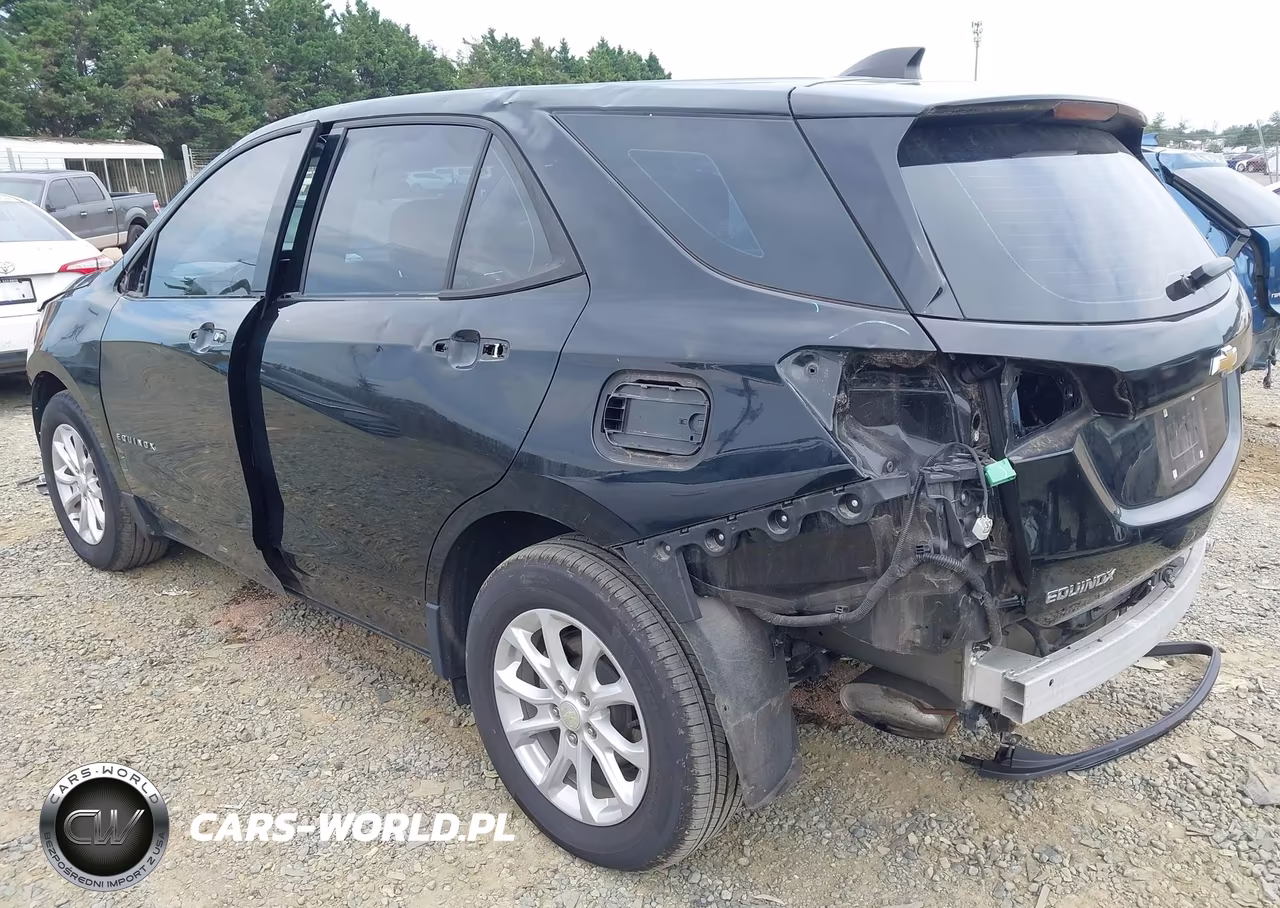 2019 Chevrolet Equinox Ls VIN:3GNAXHEV2KL353887 - 3