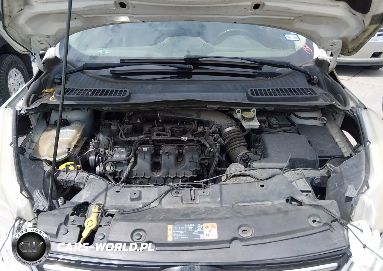 2014 Ford Escape Titanium VIN:1FMCU0J97EUC56985 - 10