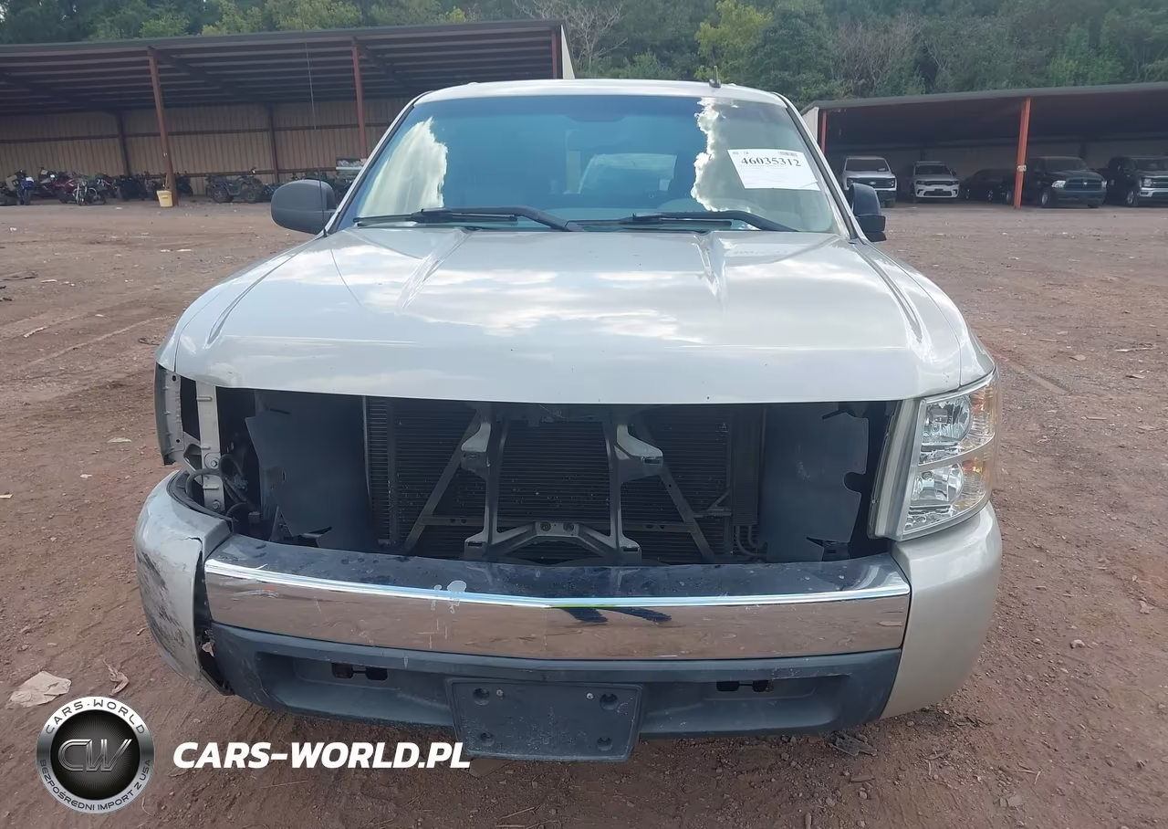 2007 Chevrolet Silverado 1500 Ls VIN:2GCEC13C671725934 - 12